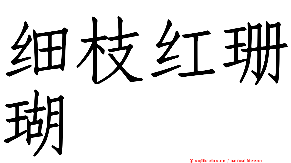 细枝红珊瑚