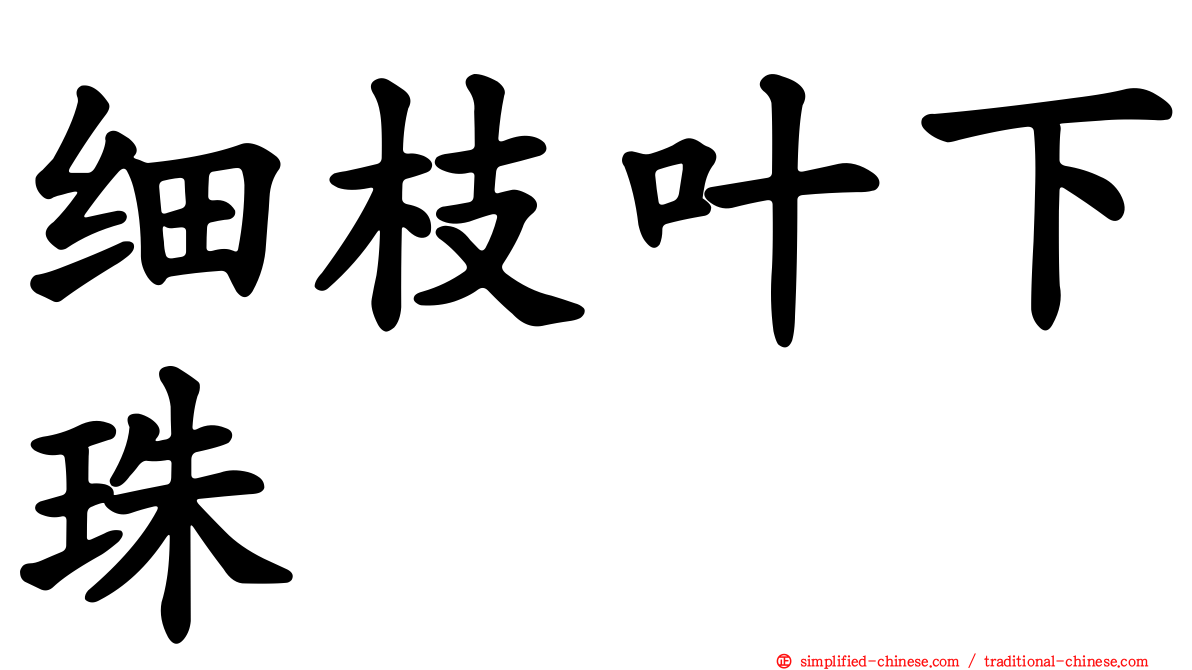 细枝叶下珠