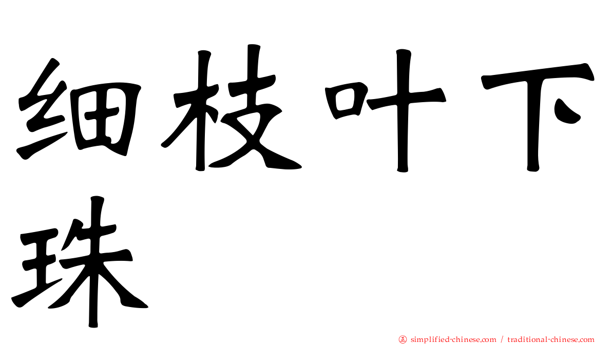 细枝叶下珠