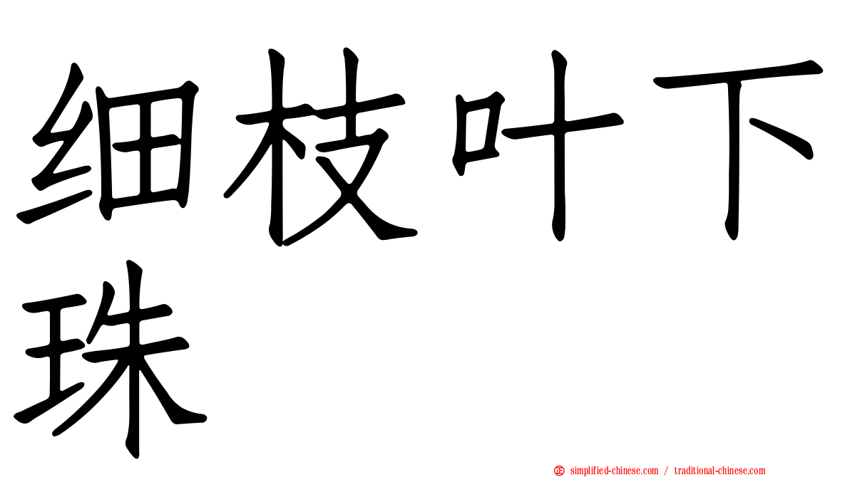 细枝叶下珠