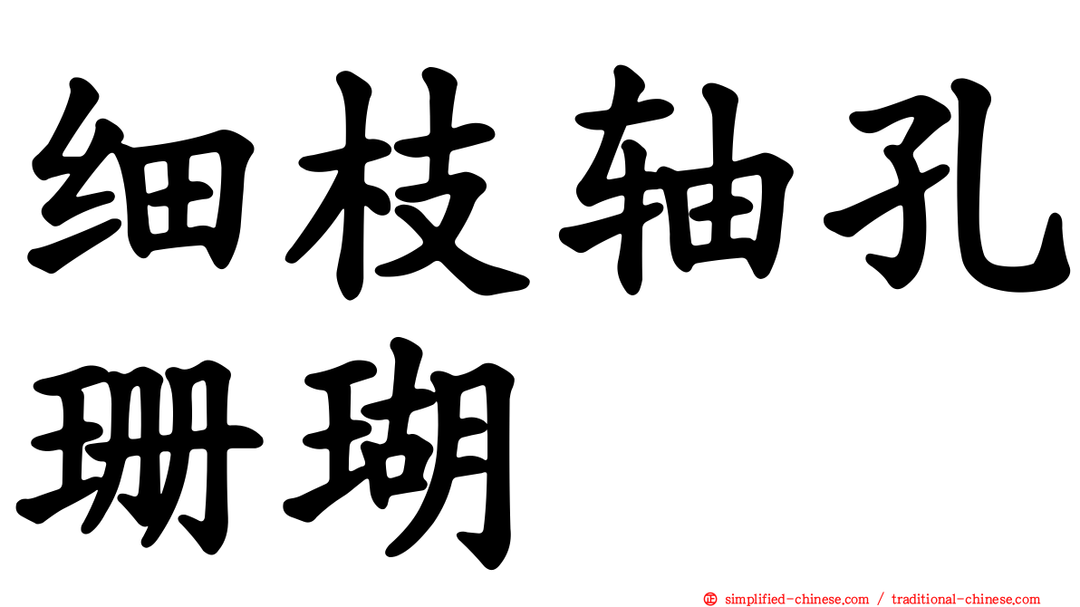 细枝轴孔珊瑚