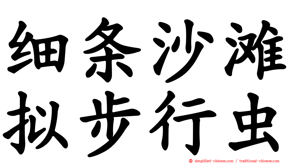 细条沙滩拟步行虫