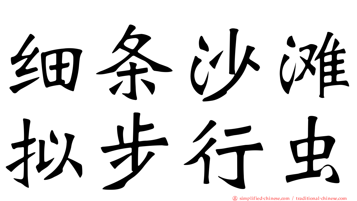 细条沙滩拟步行虫