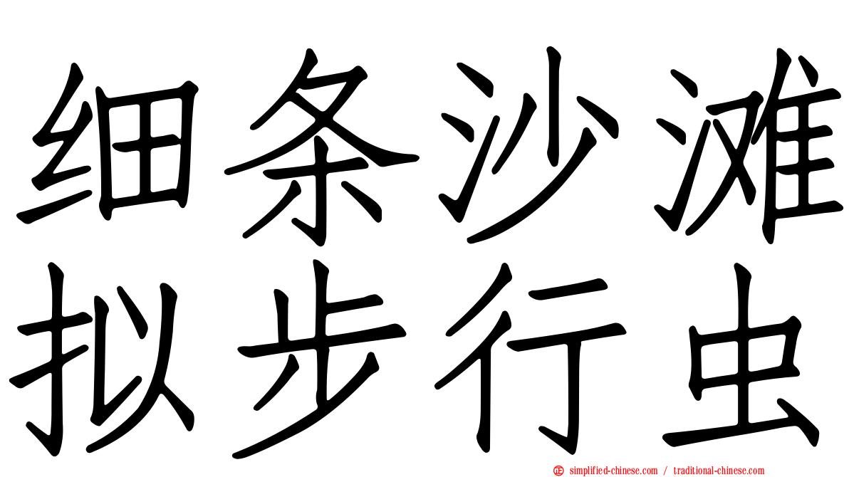 细条沙滩拟步行虫