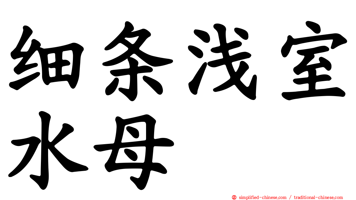 细条浅室水母