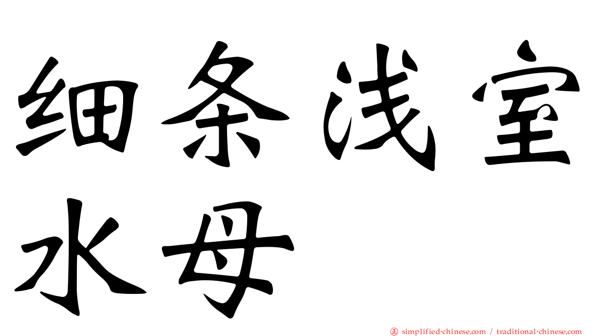 细条浅室水母