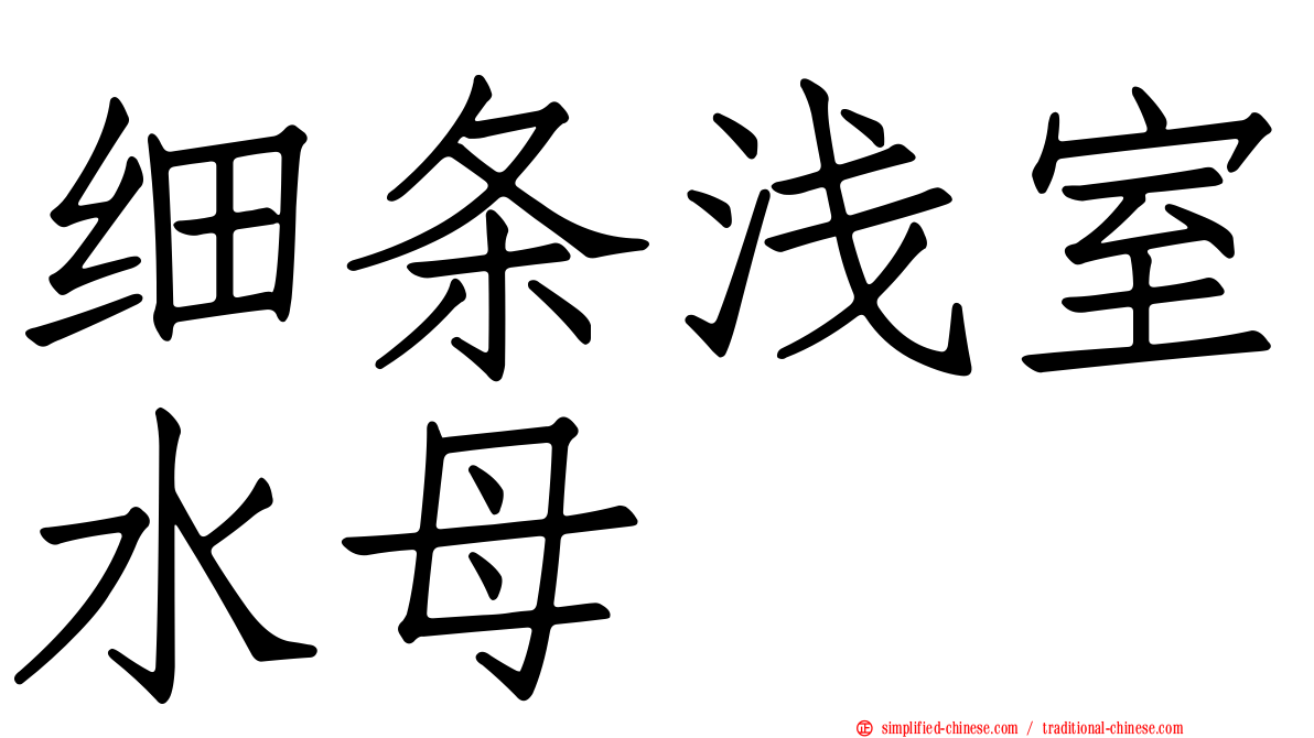细条浅室水母