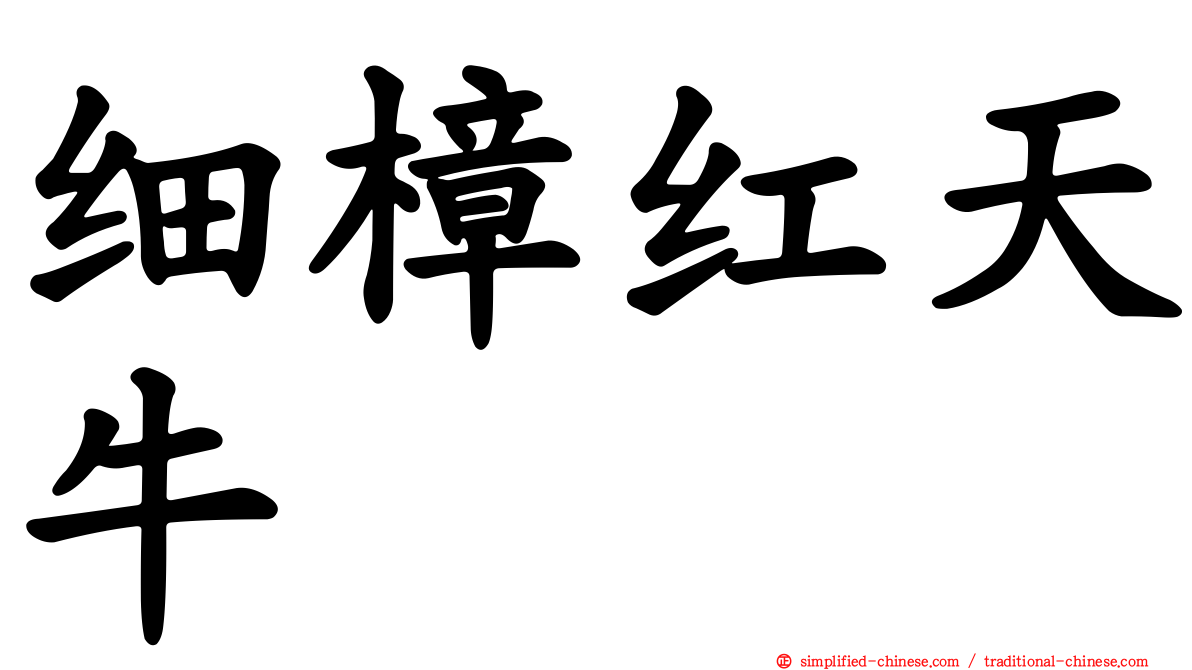 细樟红天牛