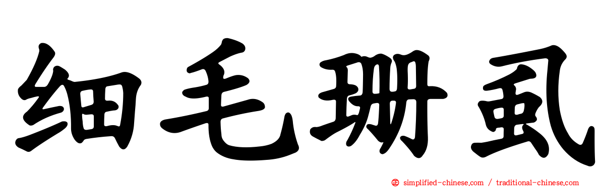细毛珊虱