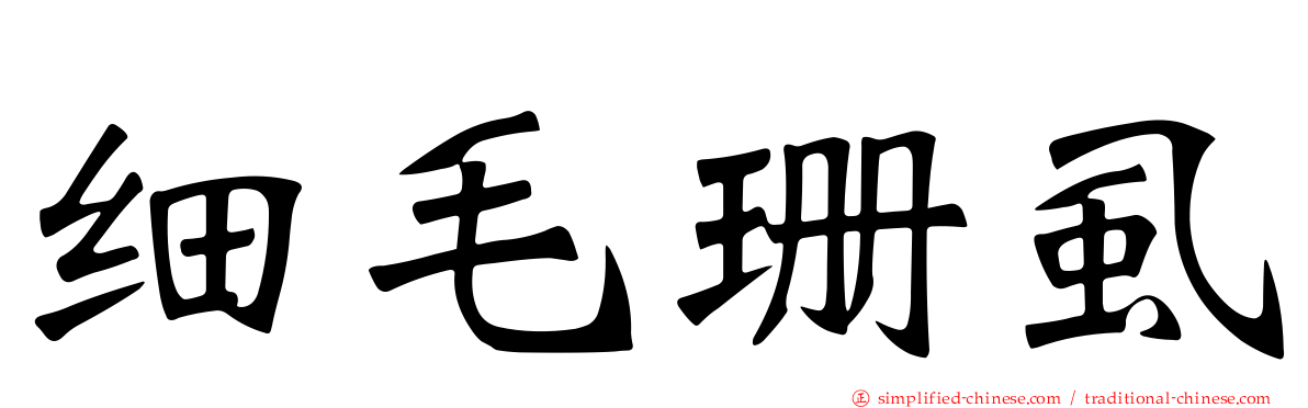 细毛珊虱