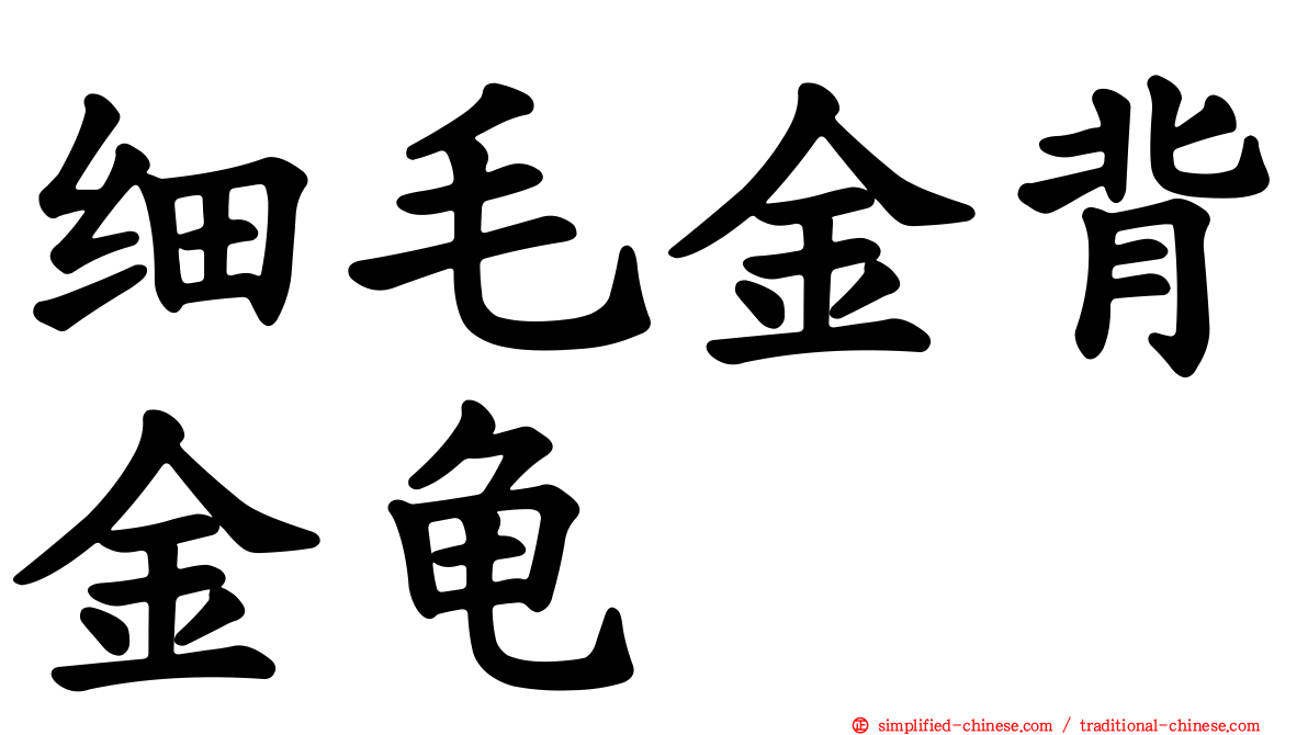 细毛金背金龟