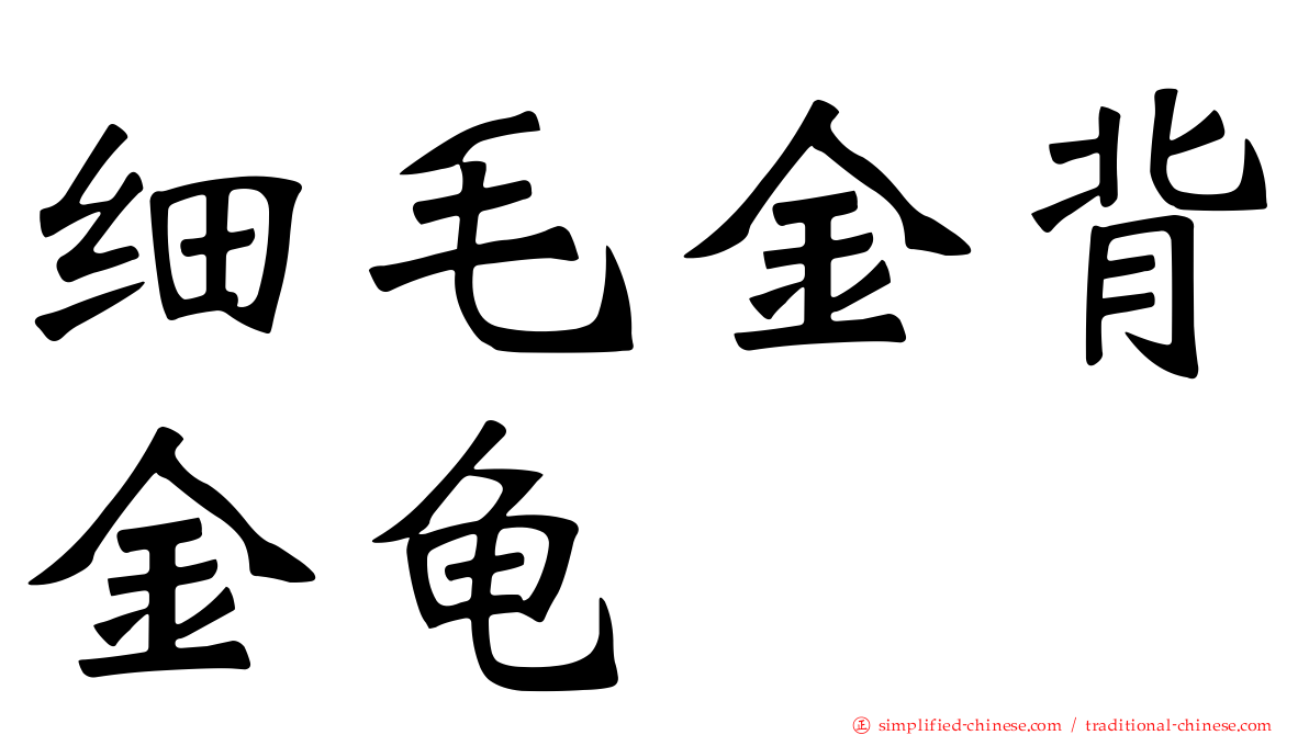细毛金背金龟