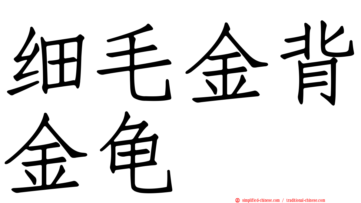 细毛金背金龟