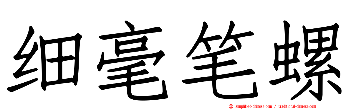 细毫笔螺