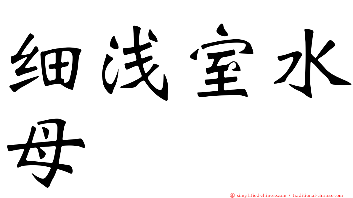 细浅室水母
