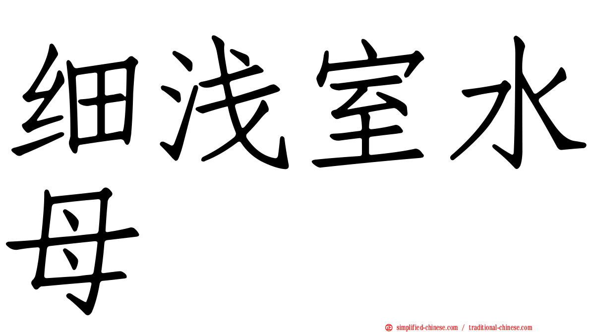 细浅室水母