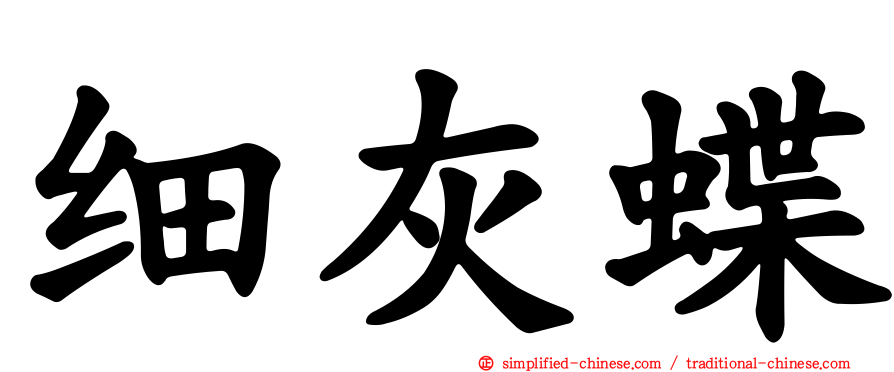 细灰蝶