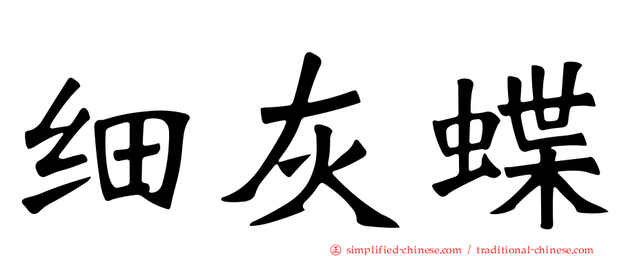 细灰蝶