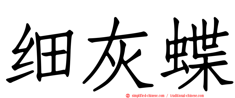 细灰蝶