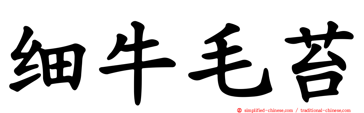 细牛毛苔