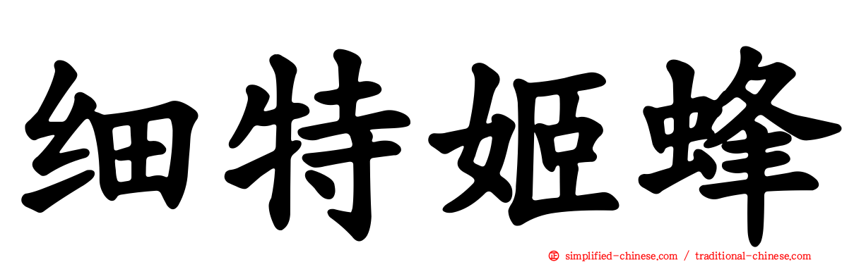 细特姬蜂