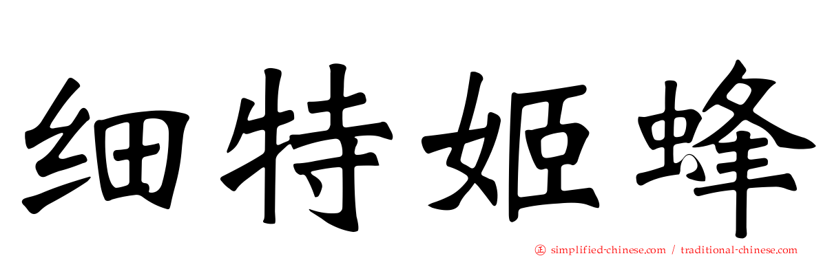 细特姬蜂