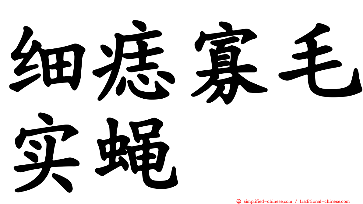 细痣寡毛实蝇