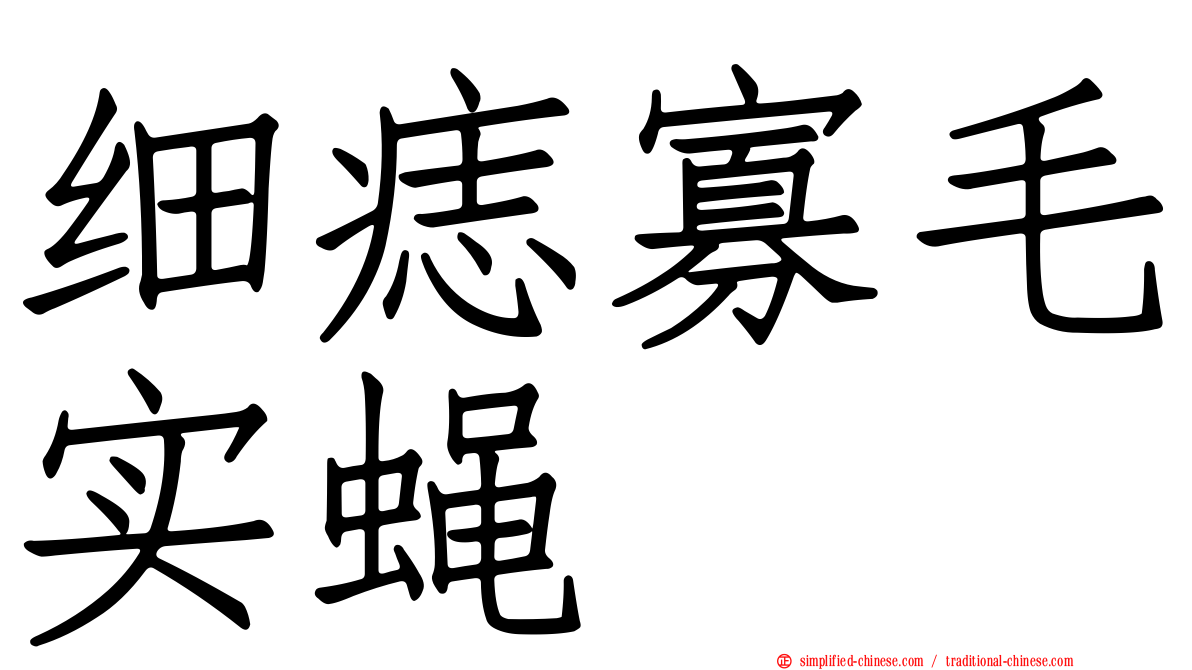 细痣寡毛实蝇