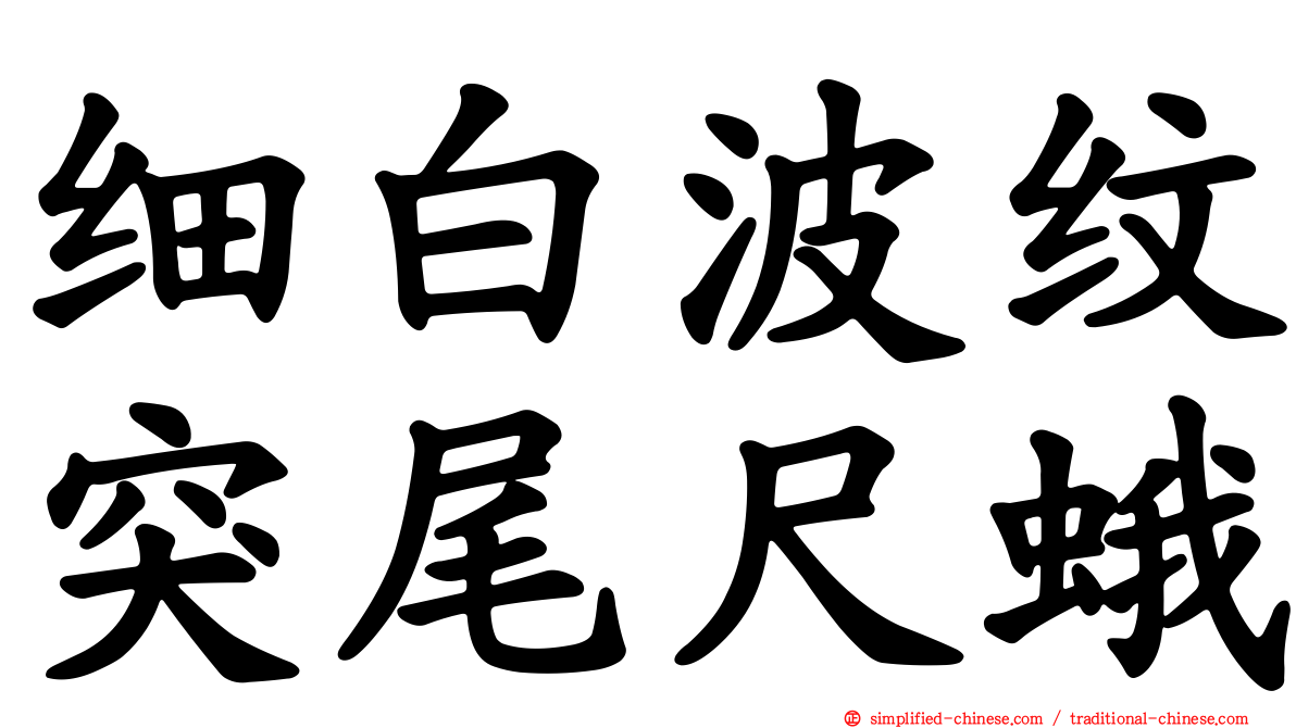 细白波纹突尾尺蛾