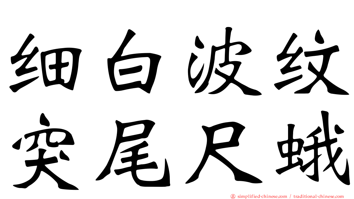 细白波纹突尾尺蛾