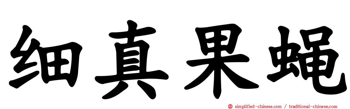 细真果蝇