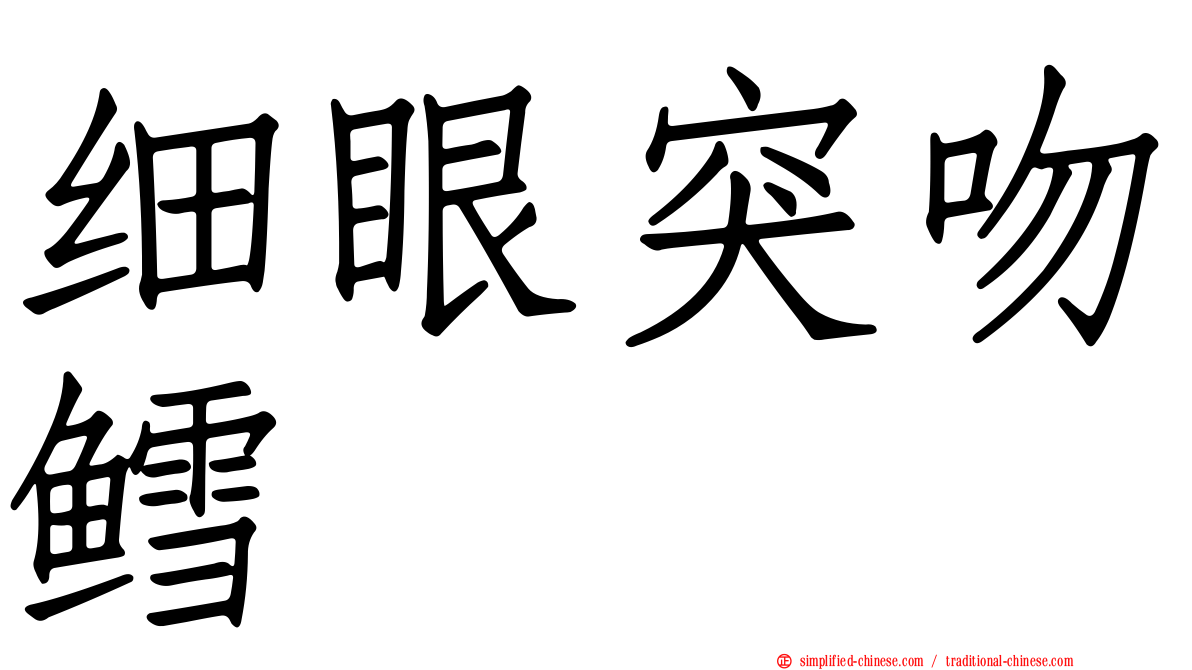 细眼突吻鳕