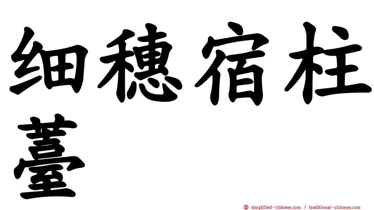 细穗宿柱薹