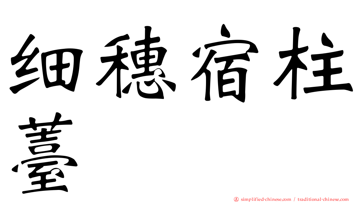 细穗宿柱薹