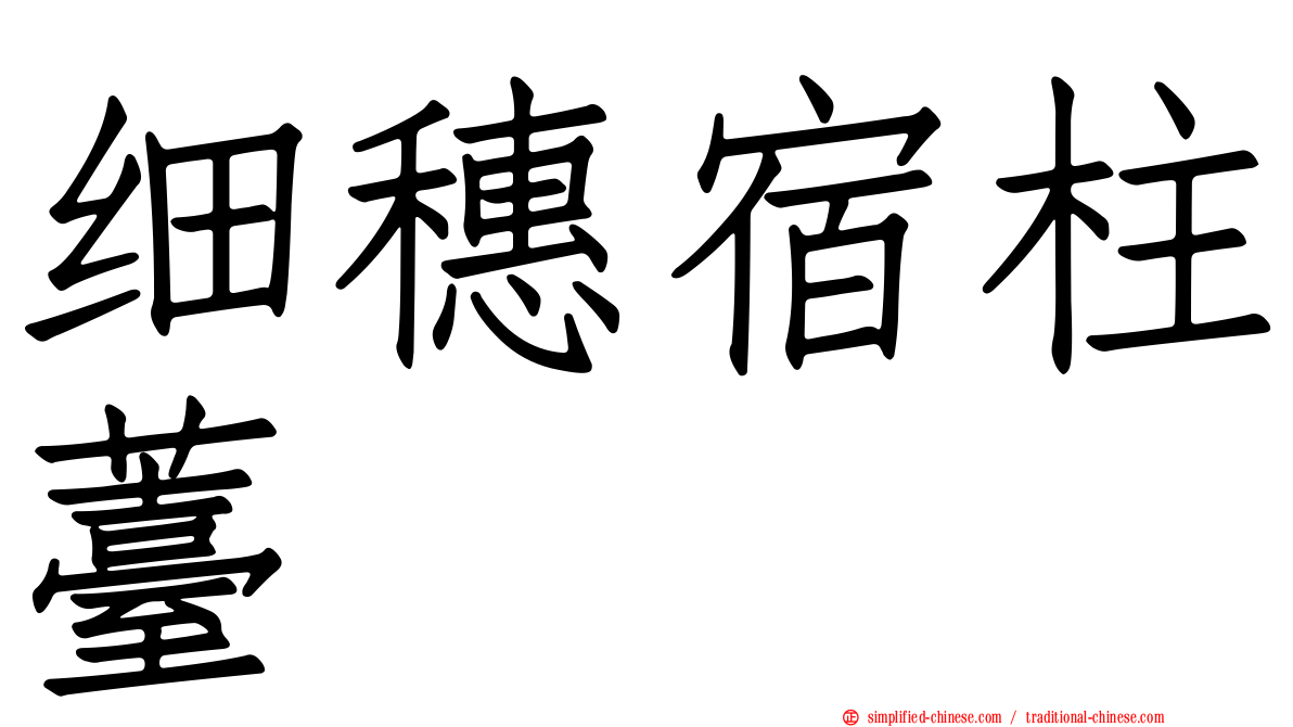 细穗宿柱薹