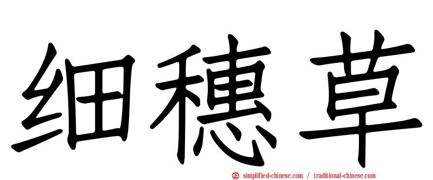 细穗草