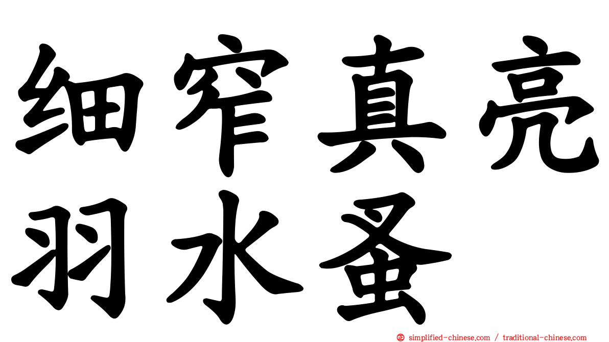 细窄真亮羽水蚤