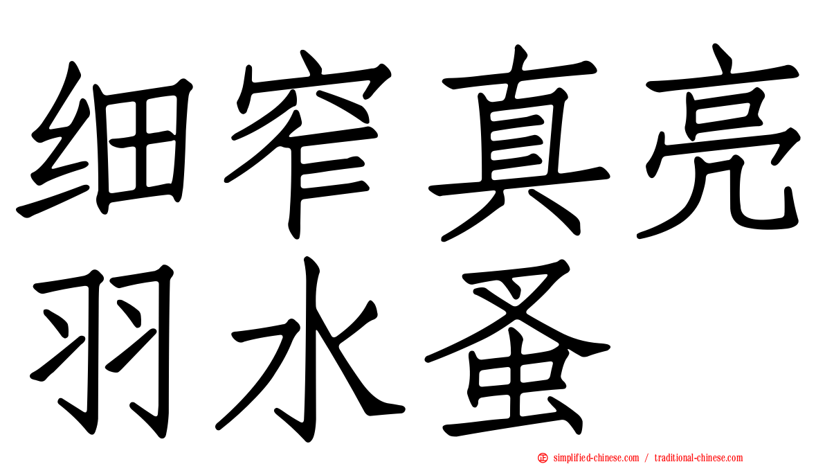 细窄真亮羽水蚤