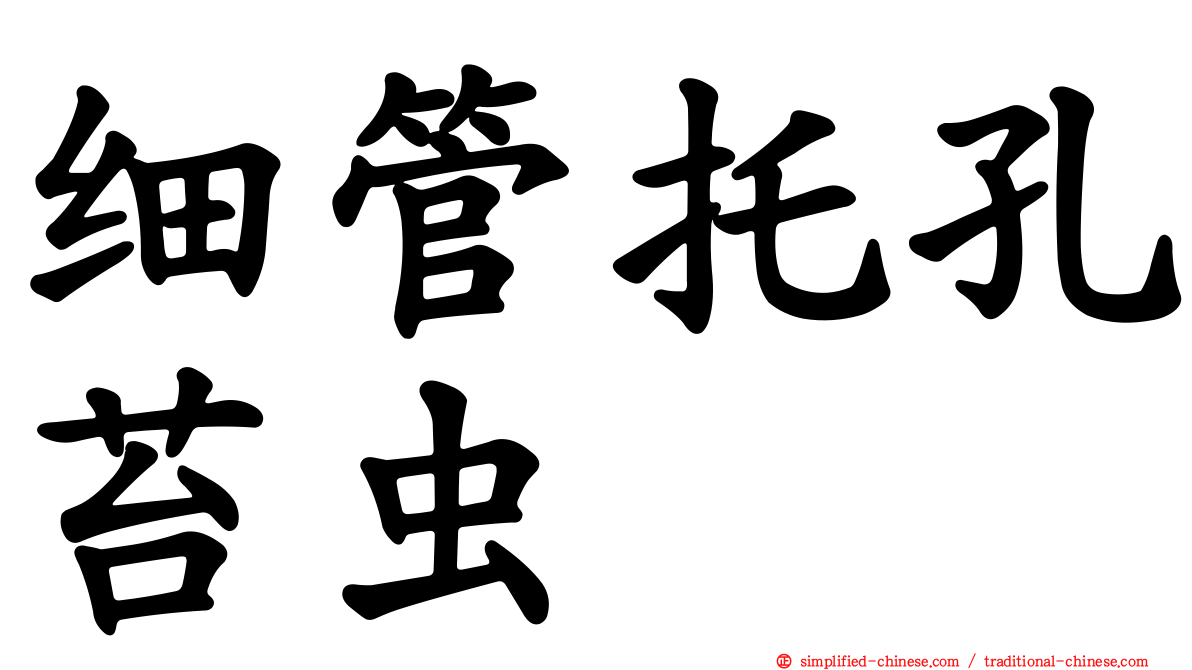 细管托孔苔虫