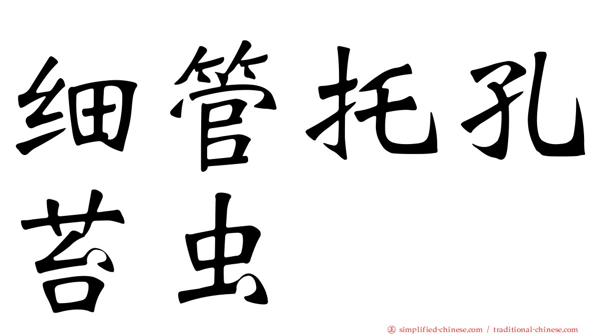 细管托孔苔虫