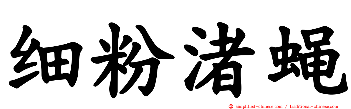 细粉渚蝇