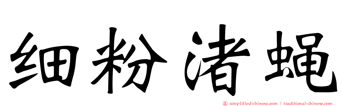 细粉渚蝇