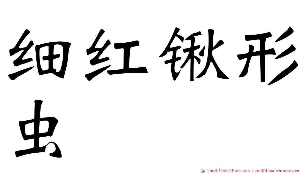 细红锹形虫