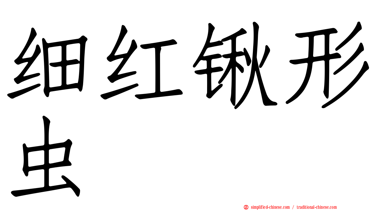 细红锹形虫