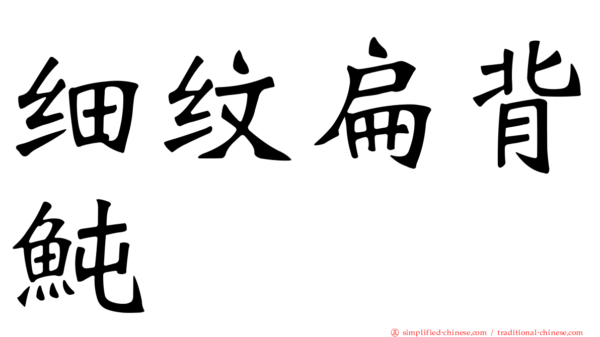 细纹扁背鲀
