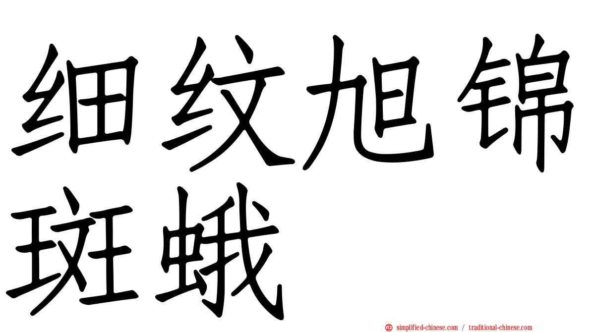细纹旭锦斑蛾