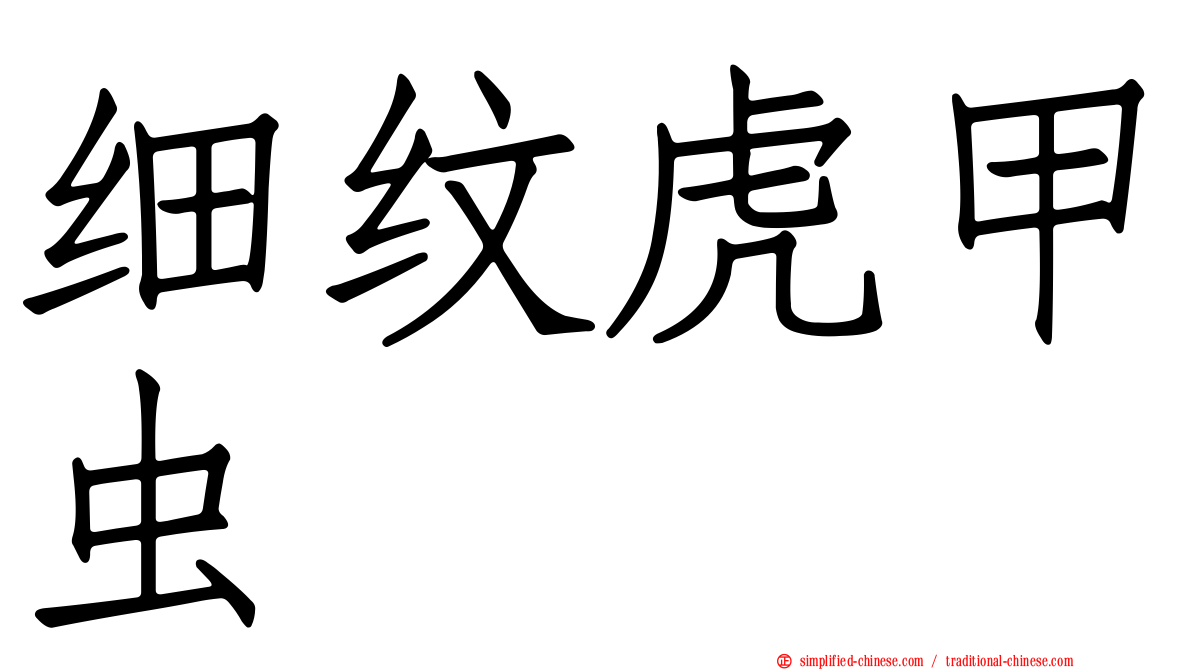 细纹虎甲虫
