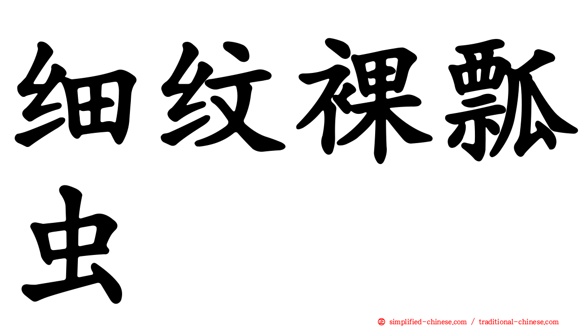 细纹裸瓢虫