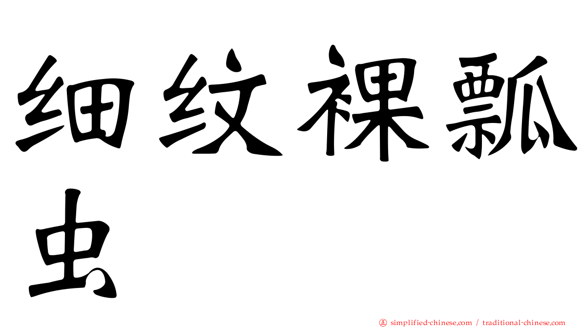 细纹裸瓢虫