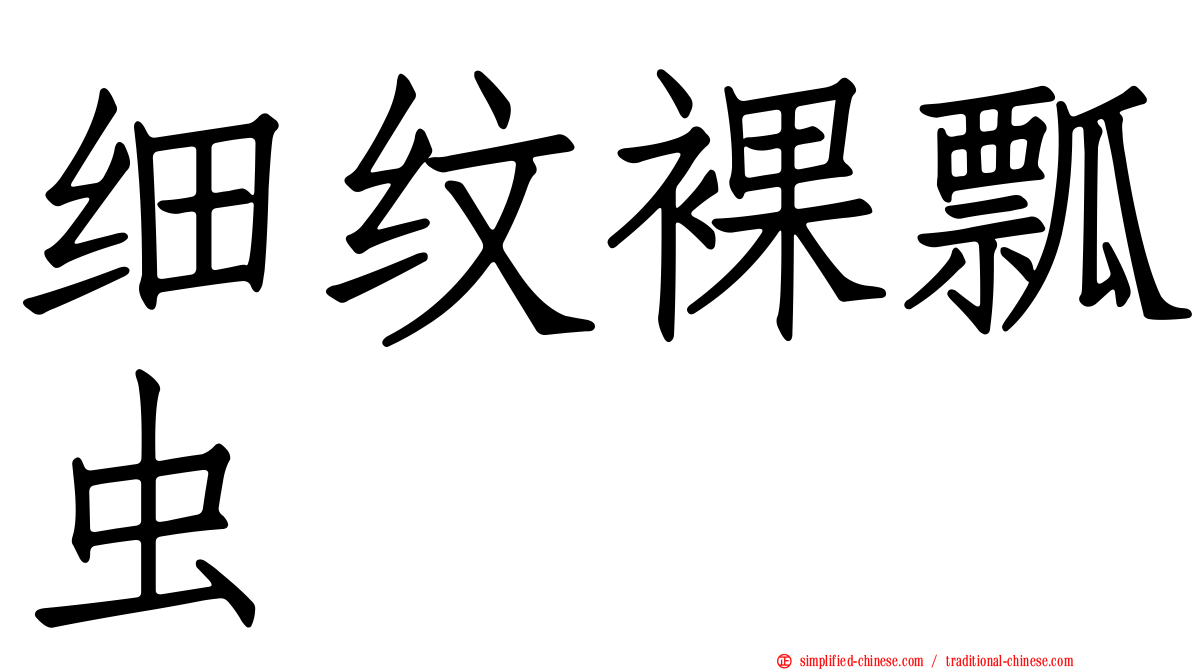 细纹裸瓢虫
